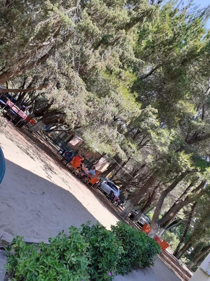 Divjaka Park ภายนอก รูปภาพ